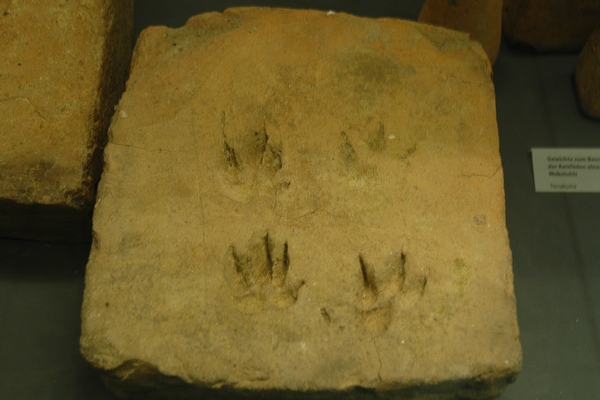 Neuss, Tile from a hypocaust with paws of a badger