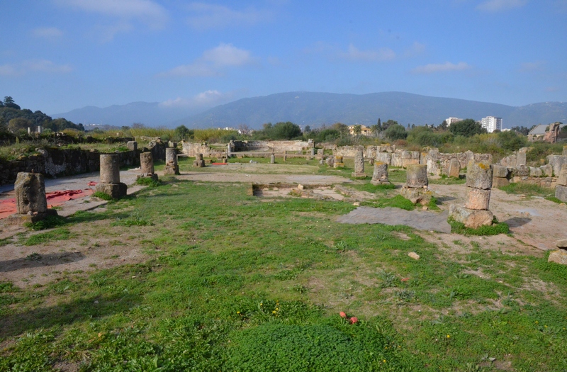 Hippo Regius, Basilica, General view