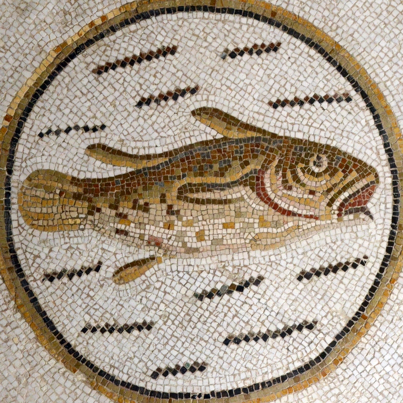 Hadrumetum, Mosaic of a Fish