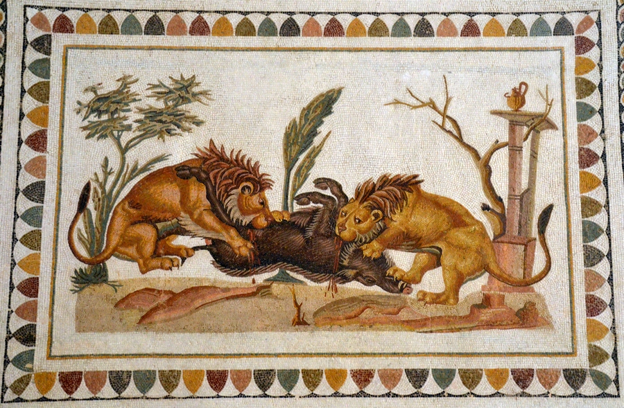 Thysdrus, House of the Dionysiac Procession, Mosaic of lions