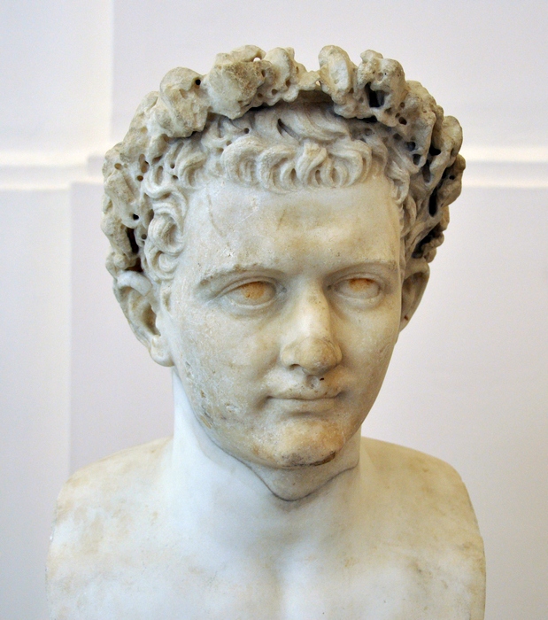 Domitian, Young